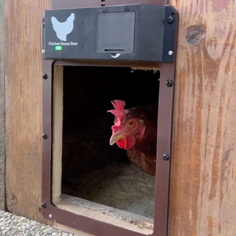 Beffino  Porta automatica Chicken Door per pollaio