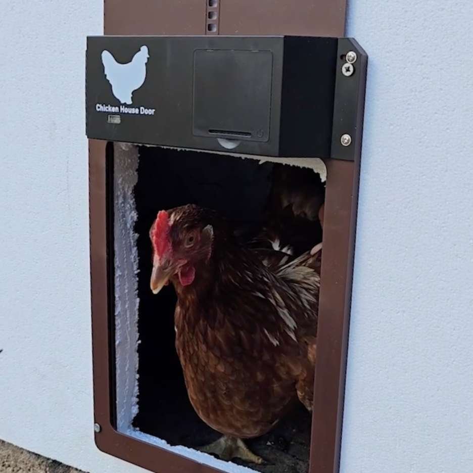 Puerta de pollo con temporizador, puerta automática de gallinero, puerta de  pollo automática con pil Ticfox