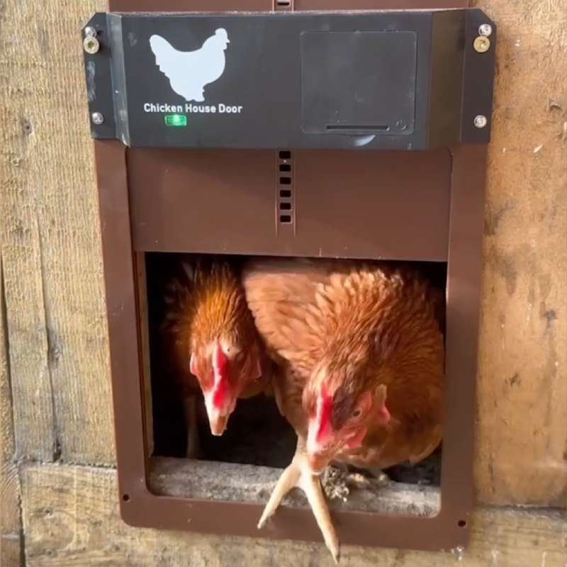 Automatico pollaio Porta Luce Senso Apertura Porta Pollame Giardino Pollo  Anatra Pollo Apriporta Pratico pollo Gabbie per animali domestici Porta